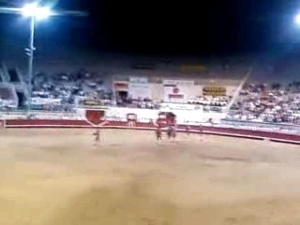 Forcados