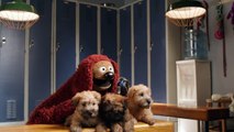 Pup Talk with Rowlf the Dog | Animal Planet's Puppy Bowl | Muppets Most Wanted | The Muppets