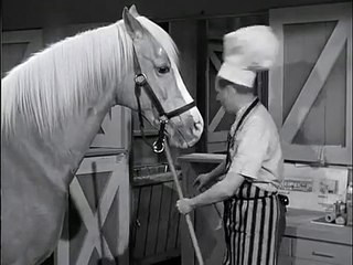 Mister Ed S3 | The Blessed Event