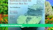 Big Deals  Shipwrecks from the Egyptian Red Sea  Best Seller Books Best Seller