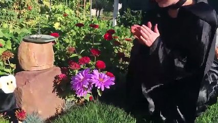 Doctor Maleficent Removes Spiderman's Arms! Fun Superhero Kids In Real Life In 4K