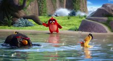 The Angry Birds Movie (2016) HINDI Mighty Eagle Funny Scene (1080p Full HD)
