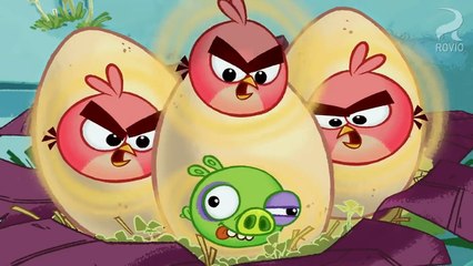 Сердитые птички – 1 сезон 5 серия