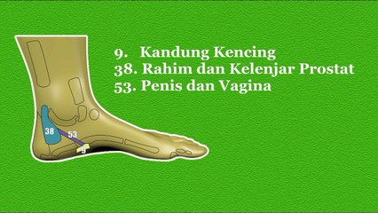 Cara mengobati ejakulasi dini