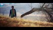 DARD KA PATA Video Song - Gandhigiri - Mohammed Irfan