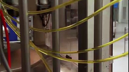 LF of America- Contact For Contract & OTC Filling packaging