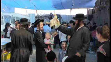 Pollos y gallinas "para expiar pecados" en Jerusalén