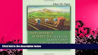 read here  Impossible Subjects: Illegal Aliens and the Making of Modern America (Politics and