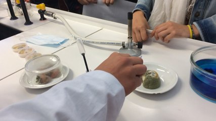 Fête de la Science au lycée Chaptal