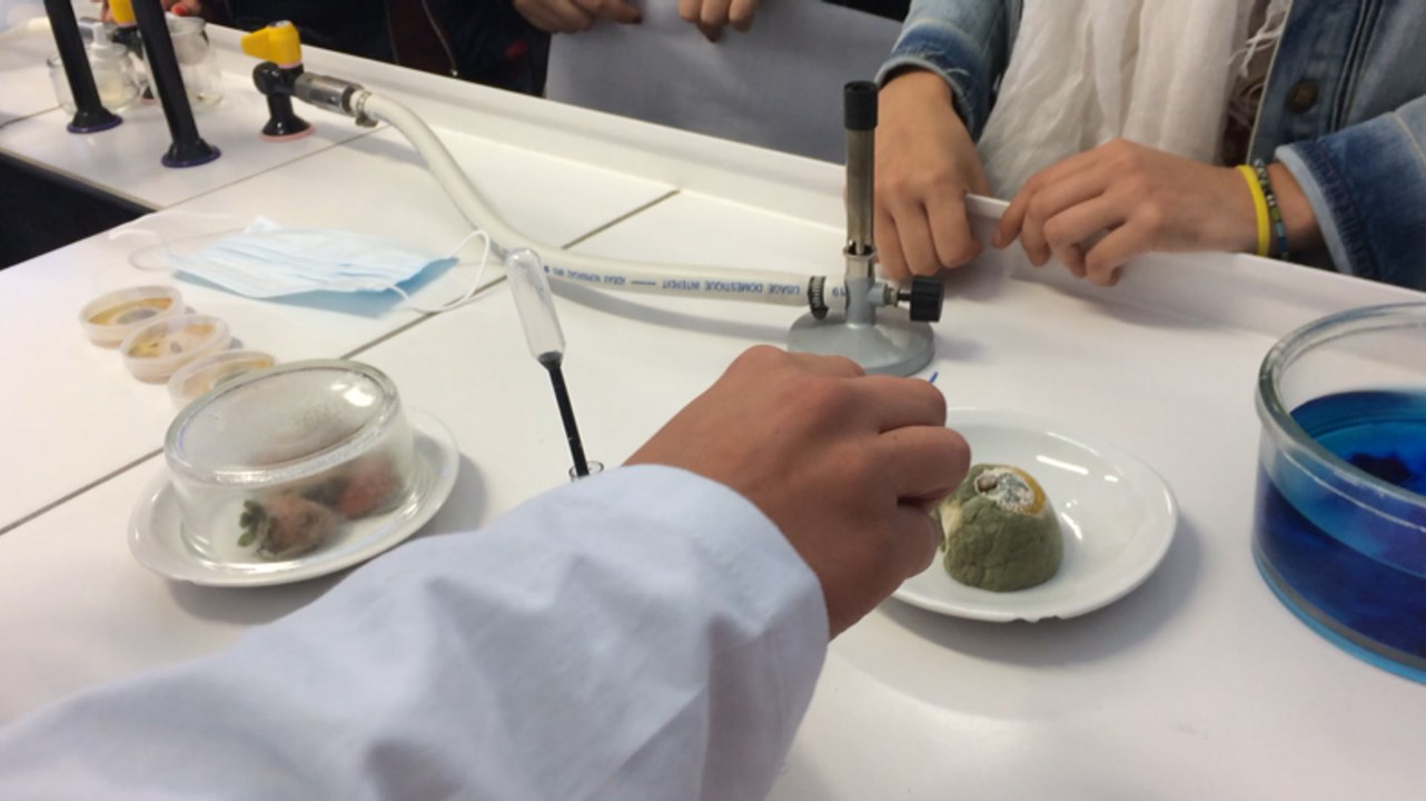 Fête de la Science au lycée Chaptal