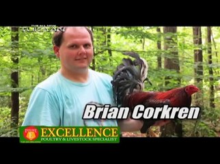 American Breeder 2013: Brian Corkren (Part 3)