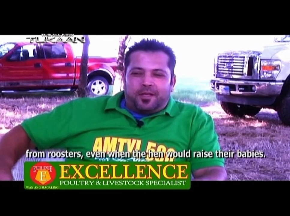 American Breeder 2013: Alfredo Flores (Part1)