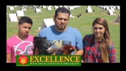 American Breeder 2013: Alfredo Flores (Part 2)