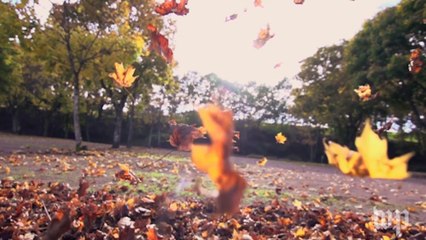 Dear Science: Do seasonal changes really cause people to get sick?