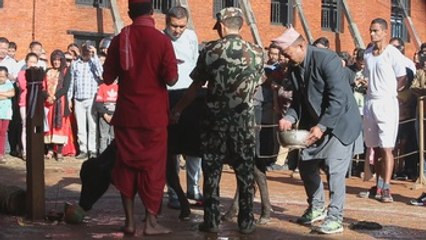 Hindúes de Nepal sacrifican animales para alabar a la diosa Durga