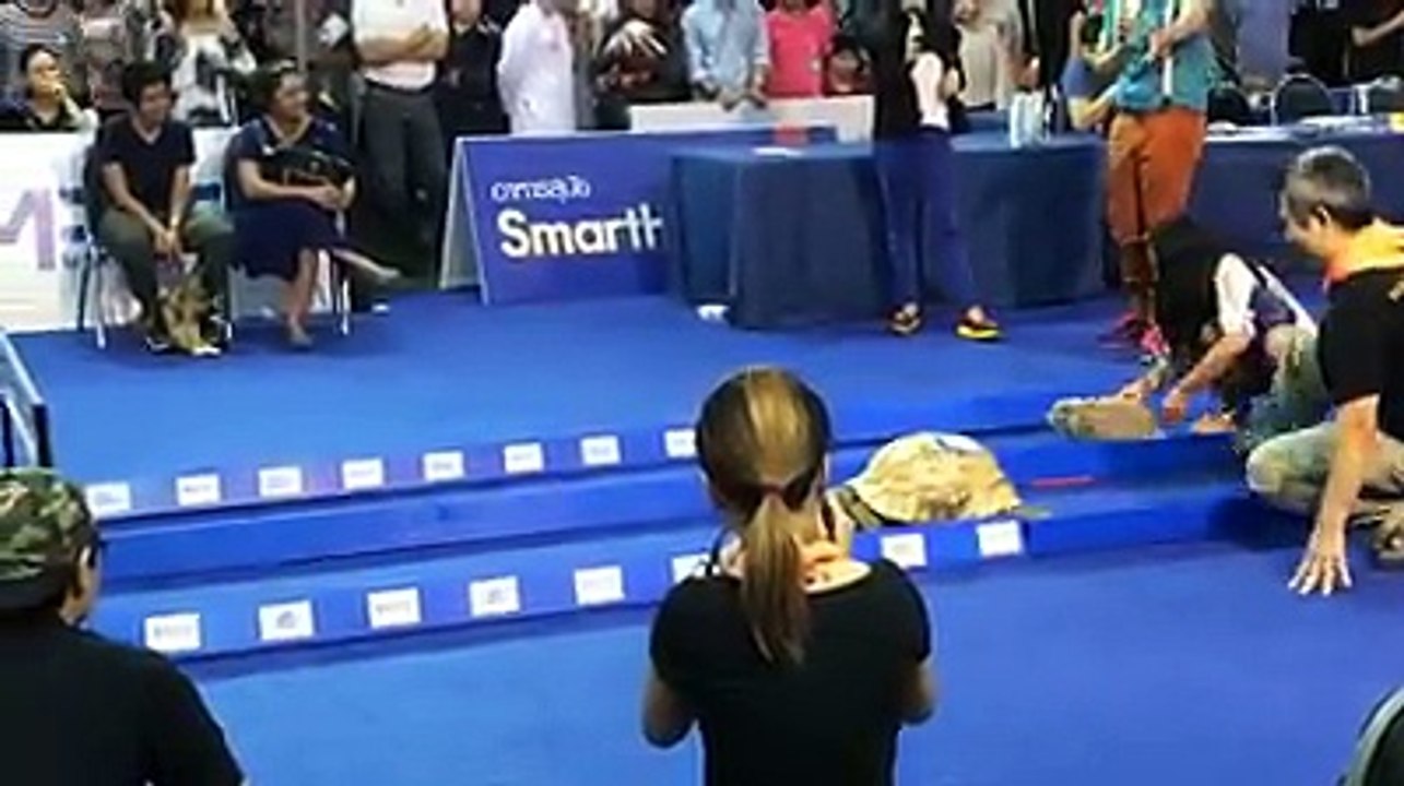 Slow And Steady Win the Race