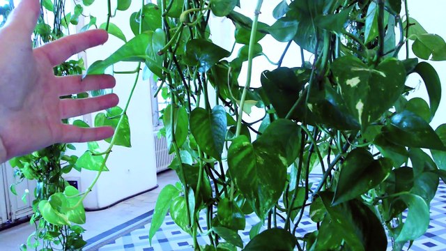 ARLES 2016 : Octobre Numerique