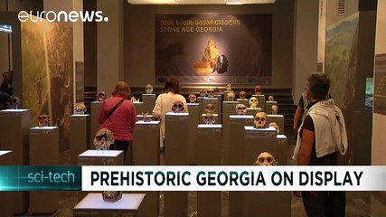 «Η Γεωργία στη Λίθινη Εποχή»: Σκελετοί και κρανία δύο εκατομμυρίων ετών