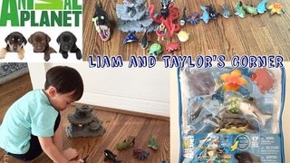 Animal Planet Sea Creatures | Toy Unboxing | Whale Sharks Fish | Liam and Taylor's Corner
