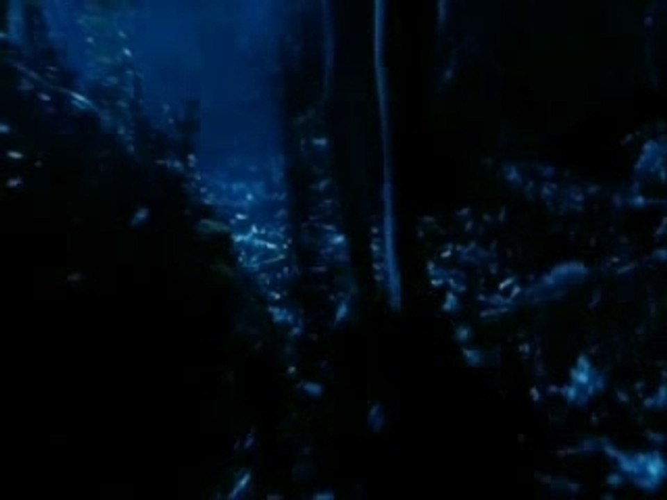 Six Feet Under saison 1