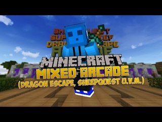 Mal wieder verwirrt - Minecraft MIXED ARCADE [Deutsch - 60 FPS] | PapierLP