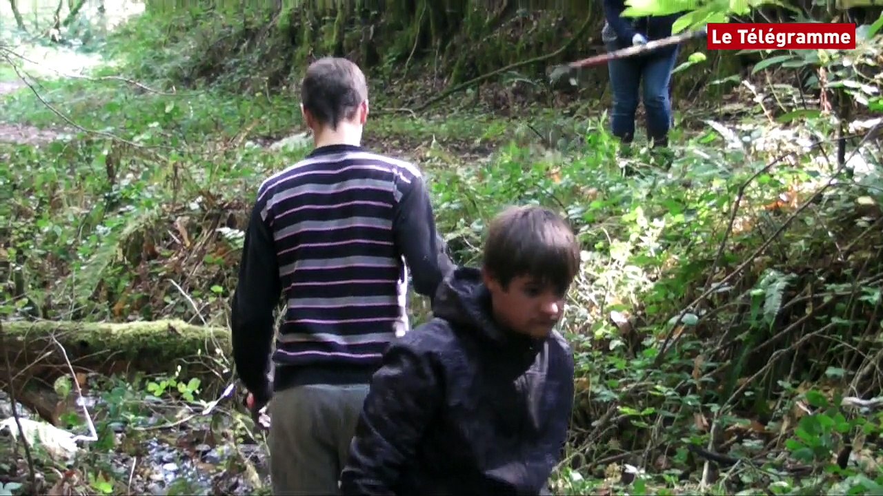 Quimper. Des collégiens au secours des truites