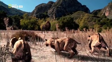 Атака Больших Кошек Nat Geo WILD (2012)