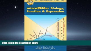 Popular Book microRNA: Biology, Function   Expression (Nuts   Bolts series)
