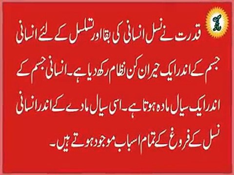 zubaida aapa kai Totkay in Urdu