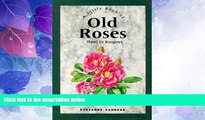 Big Deals  A Little Book of Old Roses (Stars   flowers)  Best Seller Books Best Seller