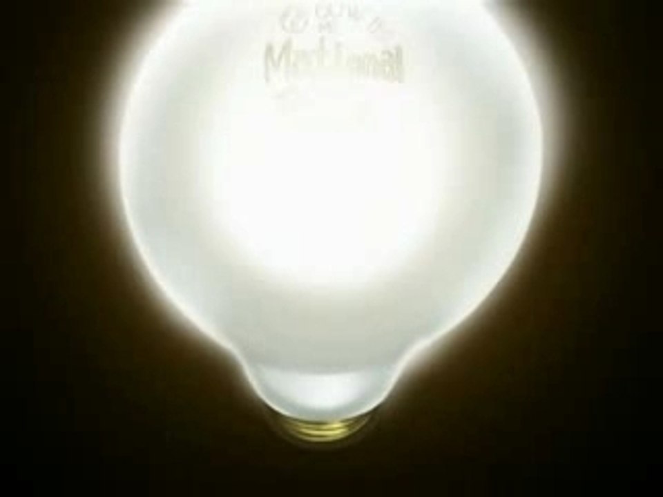 AMV Host Club Pinky and Brain