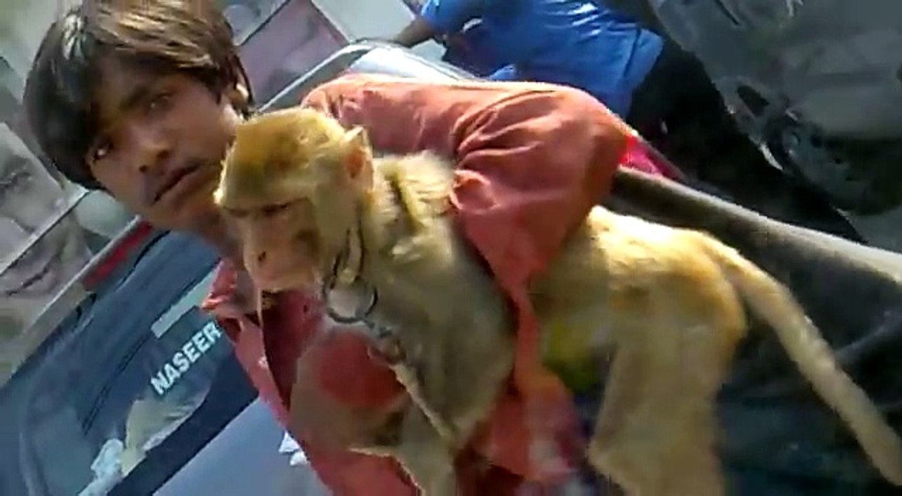 New Pakistani Funny Video 2012