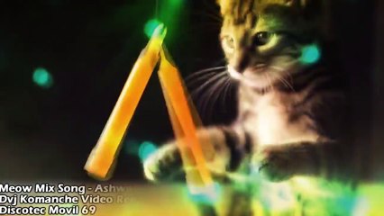 Meow Mix Song - Ashworth [[Dvj Komanche video Remix]]