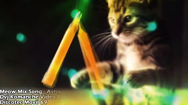 Meow Mix Song - Ashworth [[Dvj Komanche video Remix]]
