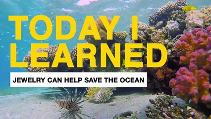 TIL- Lionfish Jewelry Can Help Save the Ocean - Today I Learned