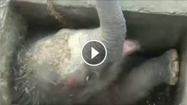 well done lads well done