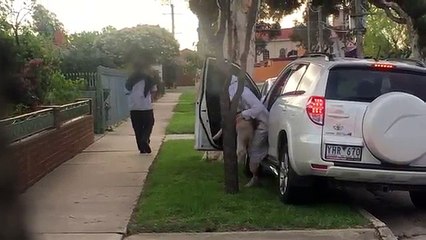 Un hombre causa pánico con una broma llamada "el cordero bomba"