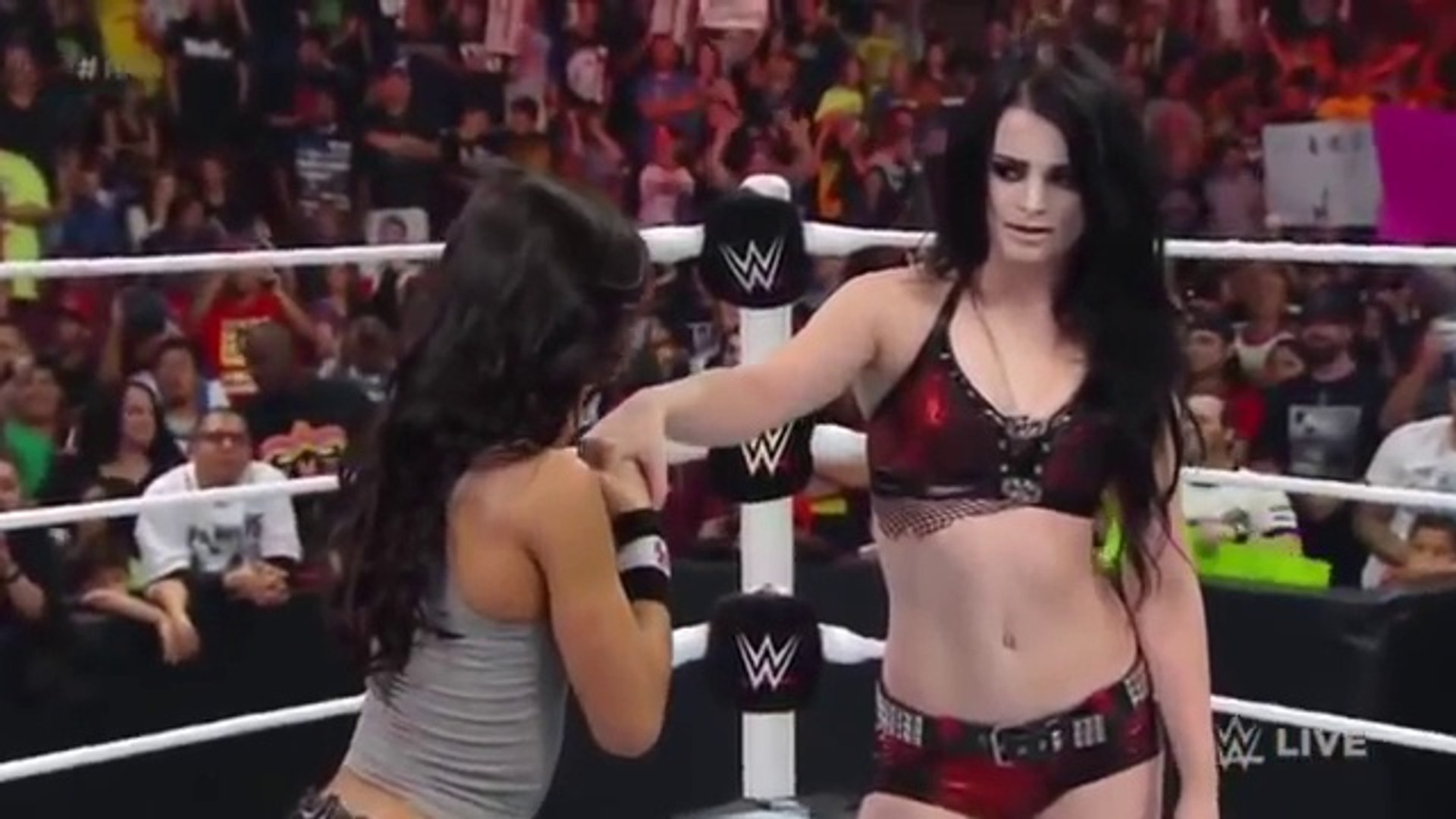 ⁣WWE Divas Top 10 Divas Attacks WWE Divas Moments WWE Divas Fight