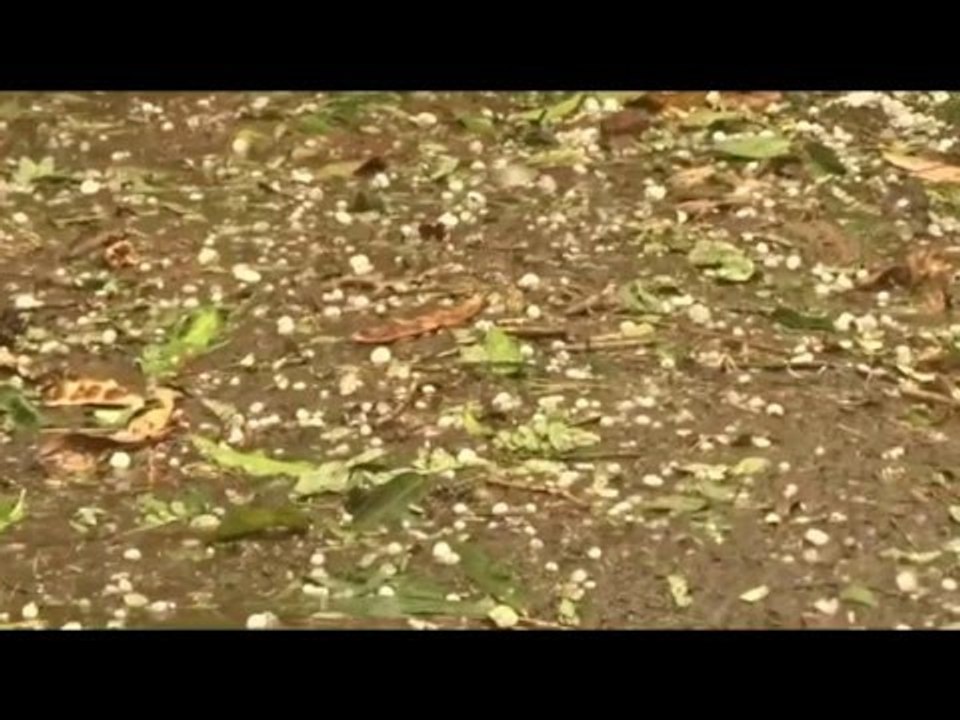 ICE rain-rare video