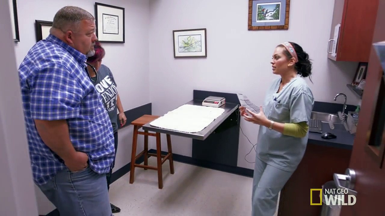 Kiki's on the Mend - Animal ER