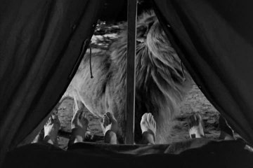 The Three Stooges - S 5 E 6 - Three Missing Links