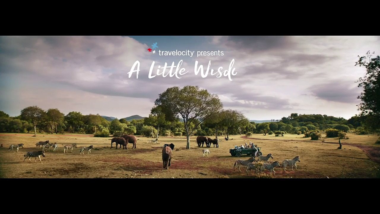 Travelocity - Safari Outrun