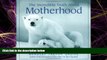 Big Deals  The Incredible Truth About Motherhood  Full Ebooks Most Wanted