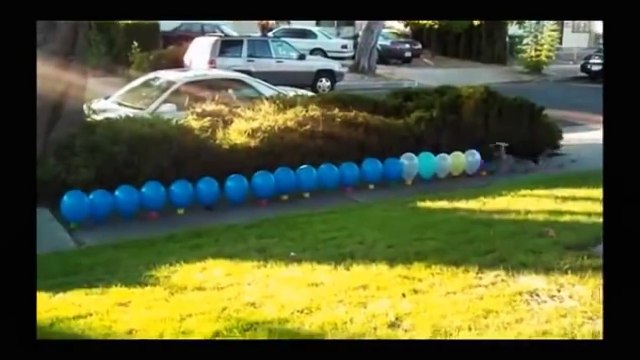 Reverse video- balloon popping vs giant water balloon dogs vs cats vs2016-Compilations.