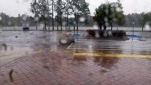 Hurricane Matthew Moves Rocks