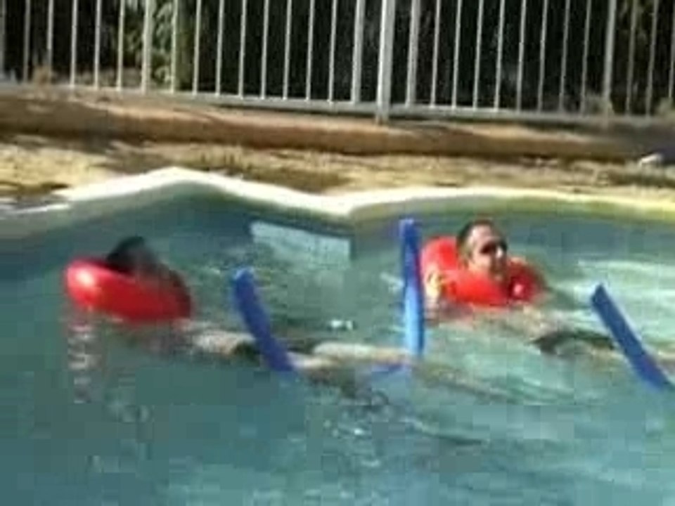 Rencontre kangoo - les zhoms ds la piscine