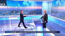Le cannabis en vente libre 