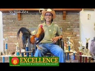 American Breeder 2013: Frank De Guzman (Part 2)
