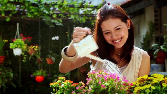 Một mùa đông hai dòng cảm xúc_Hồ Quang Hiếu - Vui Sống Mỗi Ngày [VTV3 - 06.10.2016]