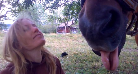 [horsegirlship 2] A day with the monkeys 2015